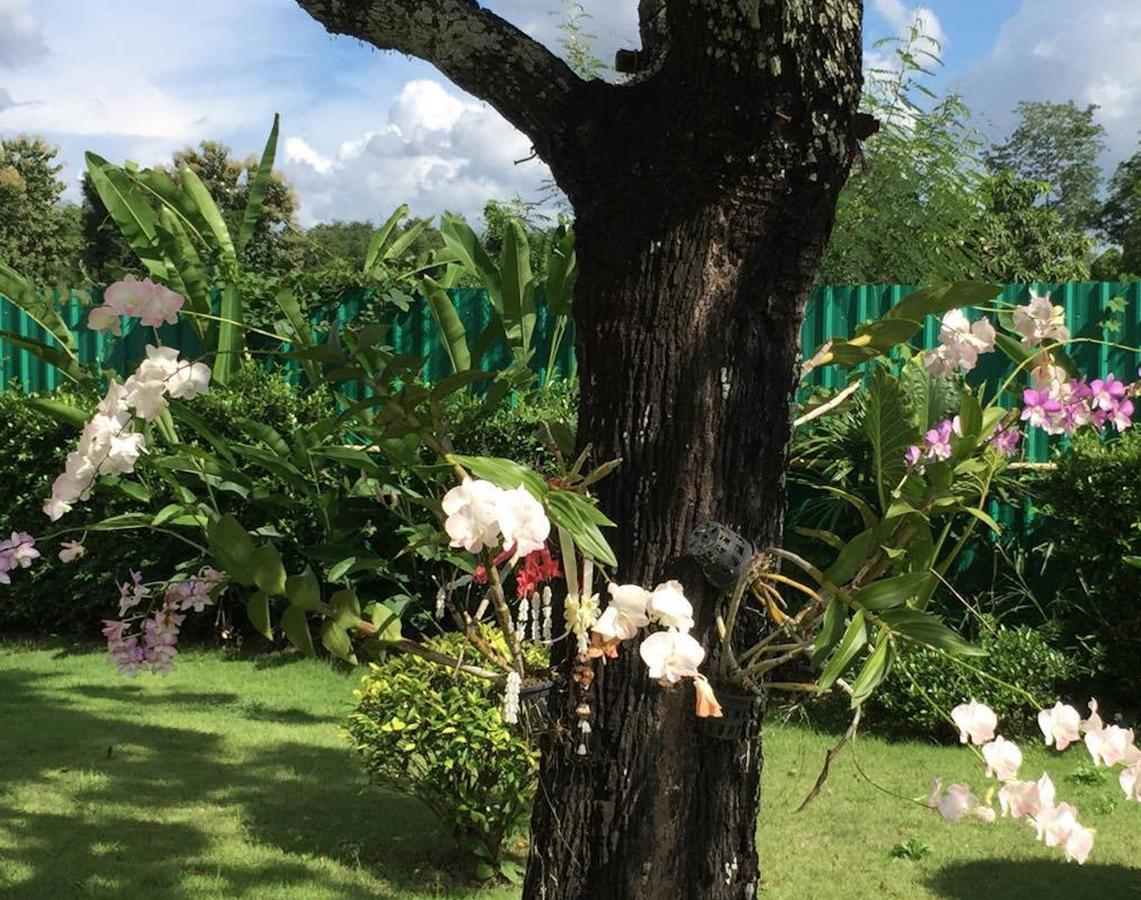 Maeping Mango Riverside Resort Kamphaeng Phet Exterior foto